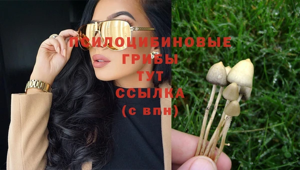 тгк Медногорск