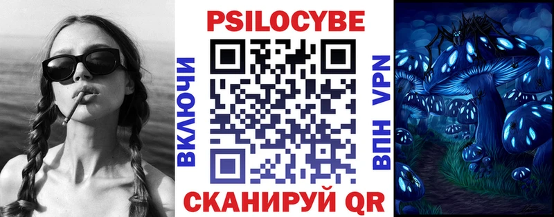 Галлюциногенные грибы Psilocybe Вологда